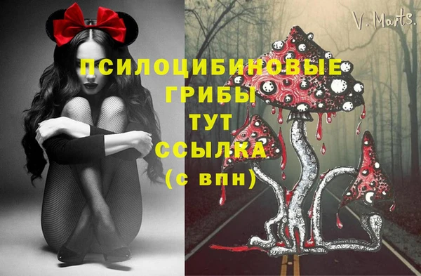 кокс Гусиноозёрск