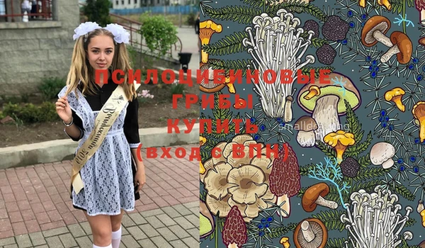 каннабис Гусев