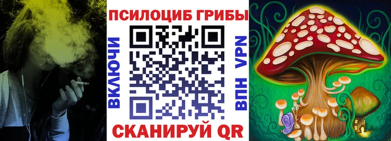 Галлюциногенные грибы Magic Shrooms  Сухой Лог 